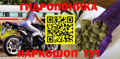 MESCALINE Кингисепп
