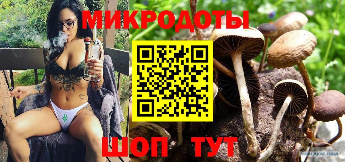 Псилоцибиновые грибы мицелий Биробиджан
